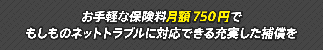 お手軽な保険料月額750円でもしものネットトラブルに対応できる充実した補償を