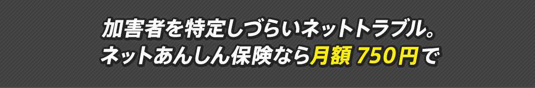 加害者を特定しづらいネットトラブル。ネットあんしん保険なら月額750円で