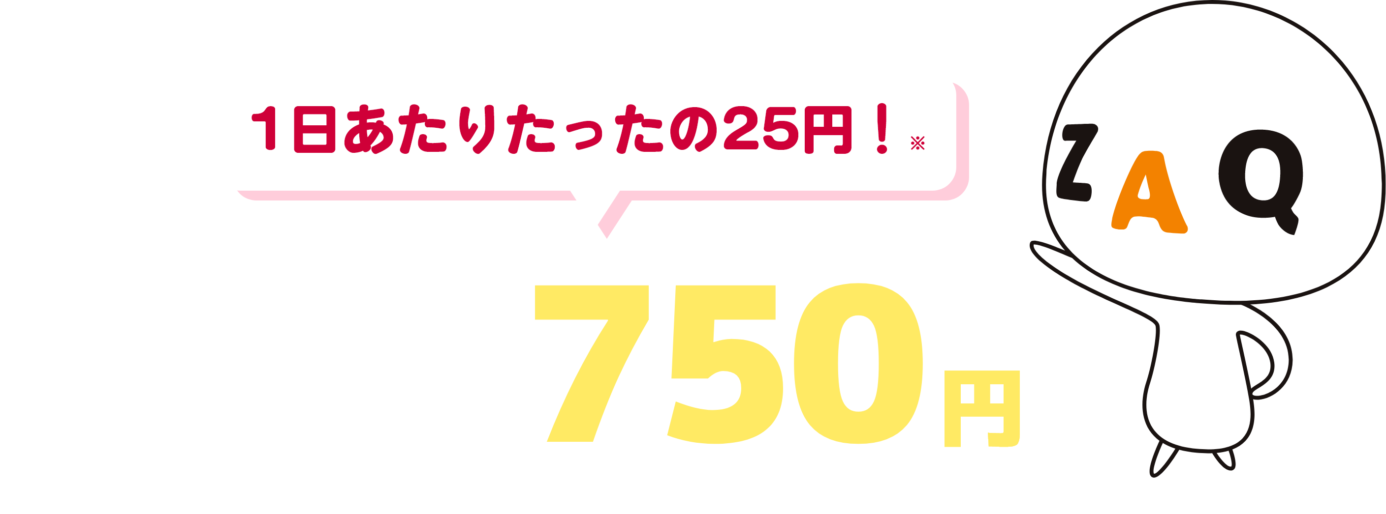 1日あたりたったの25円！同居家族全員分が月々たったの750円！